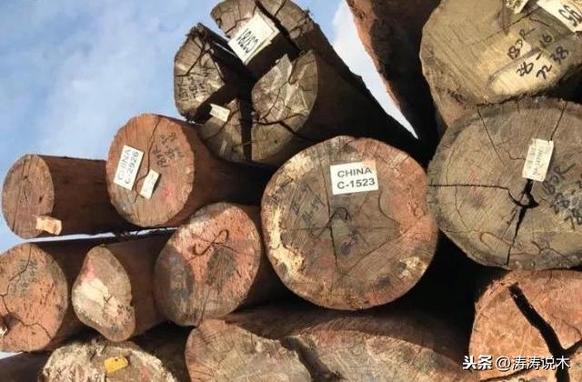 酸枝木家具，见证家的温暖与陪伴，最新价格一览