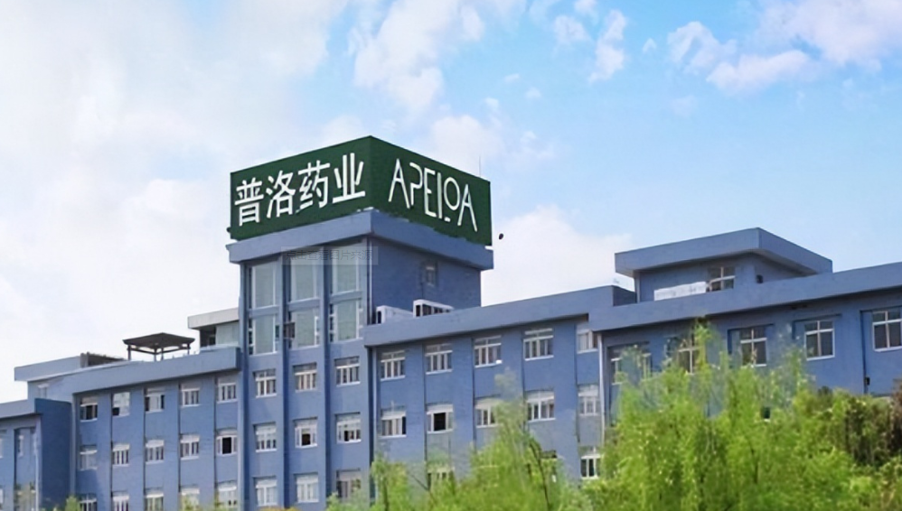 普洛药业最新动态及小巷特色小店探秘揭秘