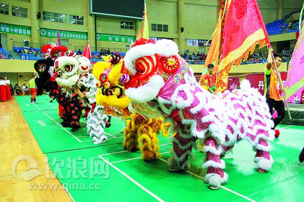 佛山舞狮比赛，传统与活力的完美交融