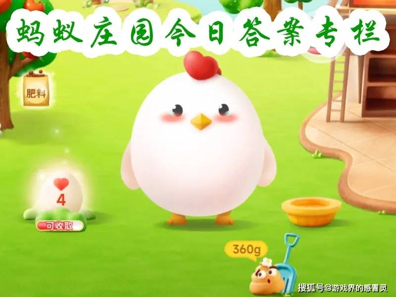 蚂蚁庄园今日答案更新,自我成长的奇妙旅程与知识的力量探索之旅