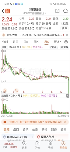 河钢股票投资潜力与前景展望分析