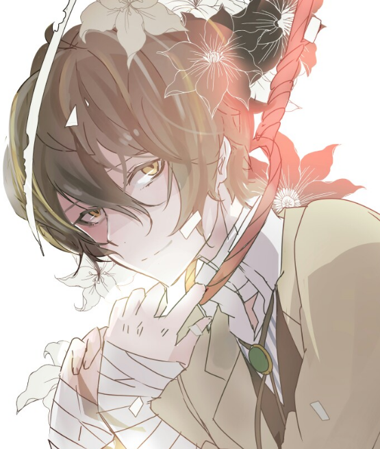 文豪野犬动漫深度剖析与观点阐述