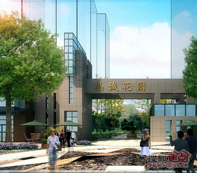 晶凡断腿最新消息