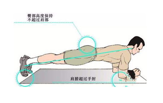 平板支撑比赛决胜诀窍,身体静力的较量与荣耀的争夺战