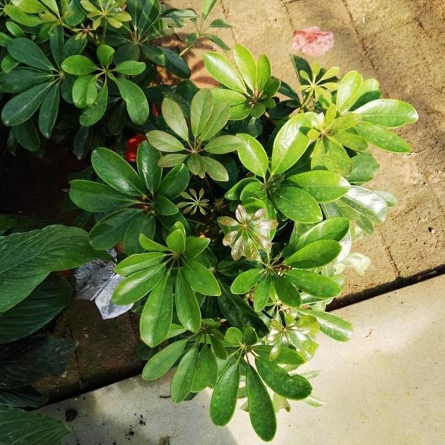 木喜水喜,一部引人入胜的电视剧——详细步骤指南介绍