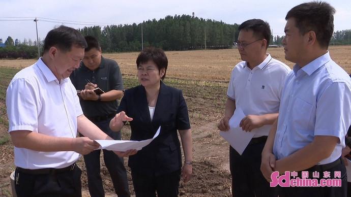 遂宁凤台新城最新动态揭秘，自然美景之旅与内心平和的探索