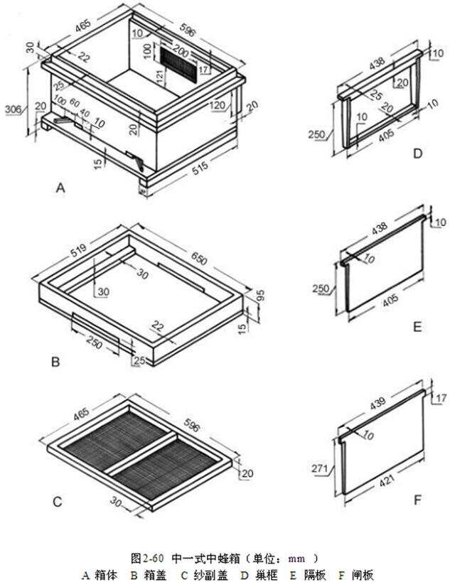 最新中蜂格子箱规格揭秘，小巷深处的养蜂秘密探索