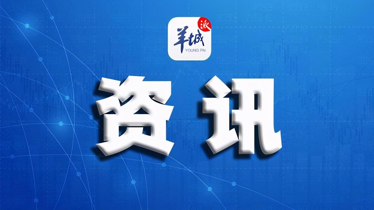 掌握最新蜜柚动态与行业趋势，蜜柚资讯速递为您传递产业前沿信息