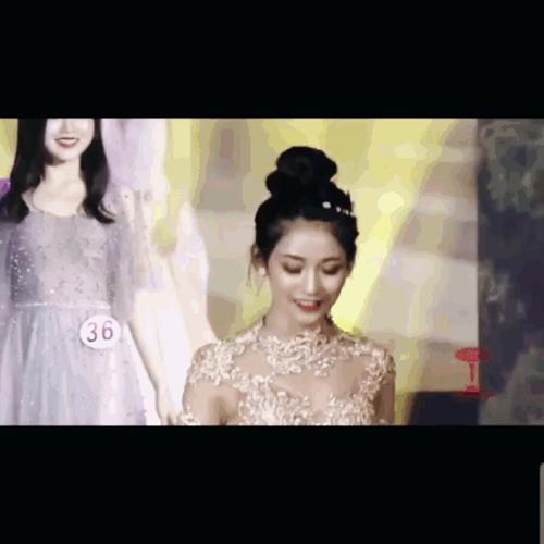 第一版主最新平台，自然美景的治愈之旅探索启动