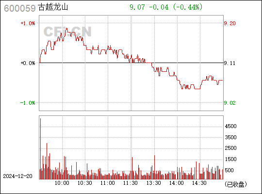 揭秘古越龙山股票（600059），探寻价值之源与未来潜力