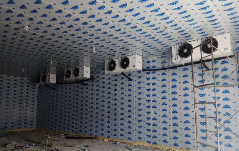 冷库安装价格揭秘,探寻价格背后的故事与温馨之旅