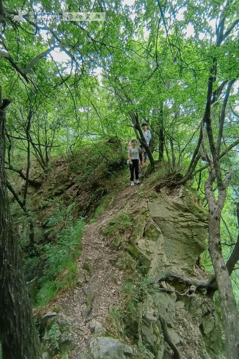 秦岭登山资讯，自信与成长的交响曲，踏上攀登之路