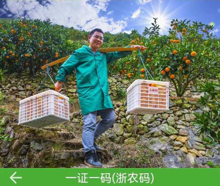 浙江农博会深度报道，巷弄深处的独特风味与农博会最新资讯速递