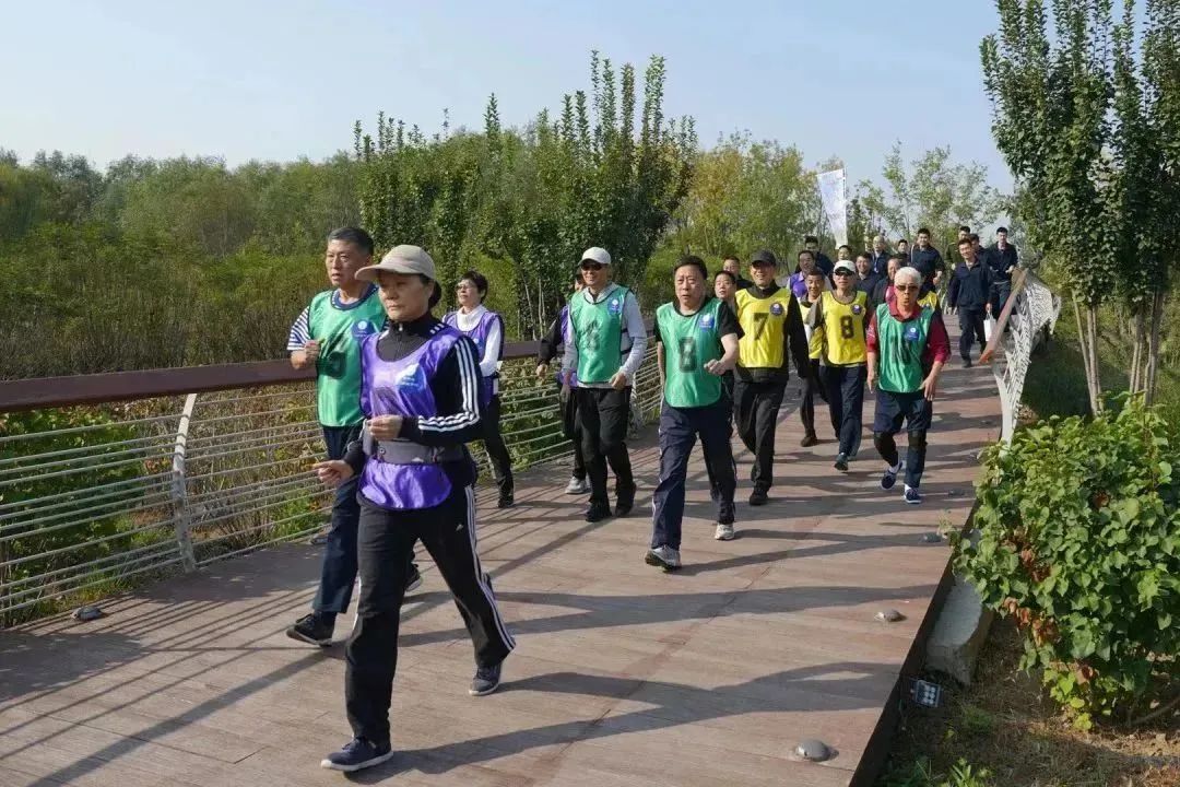 健步走比赛视频，步伐中的温情与陪伴之旅
