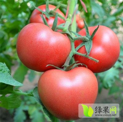 工程机械快换辅具 第131页