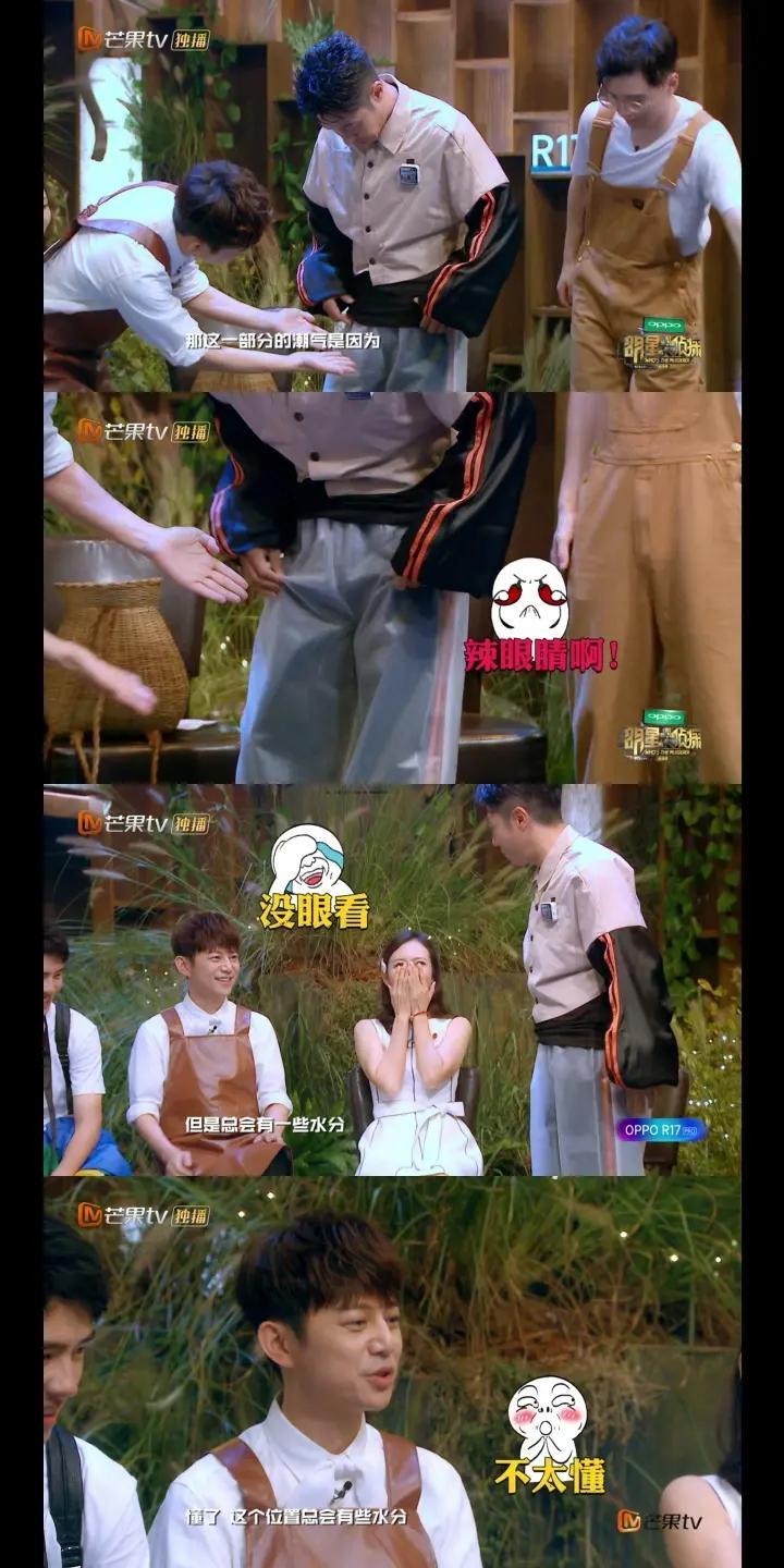 揭秘明星大侦探的幕后故事与精彩瞬间，开车之旅的综艺之旅