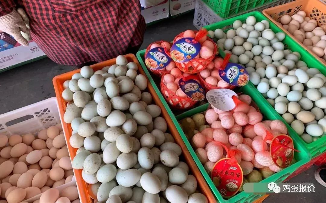 巢湖鸡蛋价格变动背后的学习与梦想故事