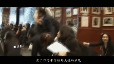 “最新外交动态”,最新外交动态，一场心灵与自然的奇妙旅行