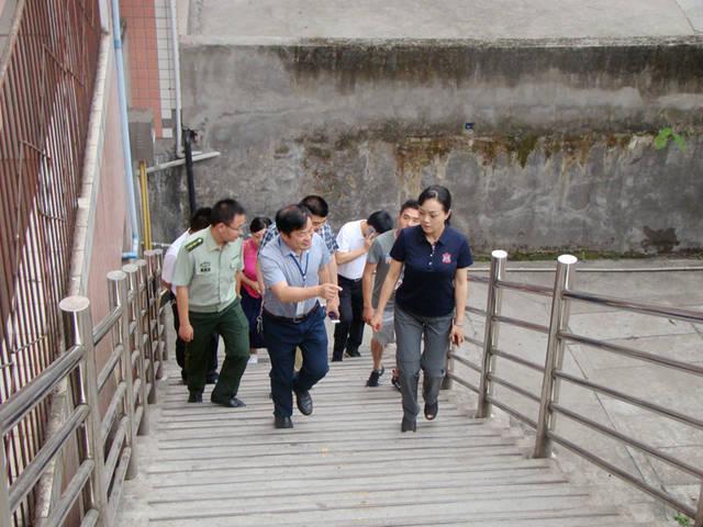 最新校车政策解读，科技引领校车新纪元，打造安全舒适出行体验