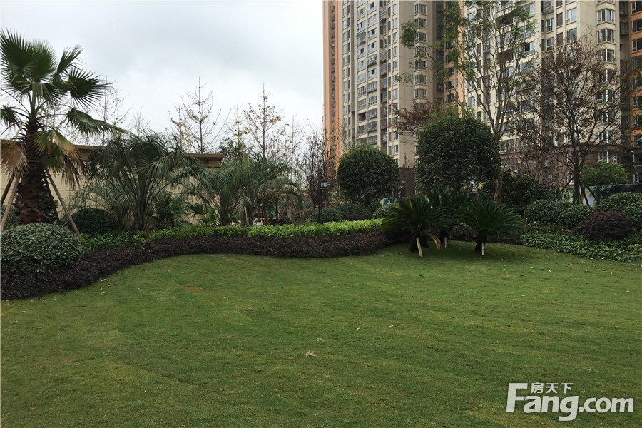 朗基少帅府最新房价，城市变迁中的居住选择，成长者的理想家园