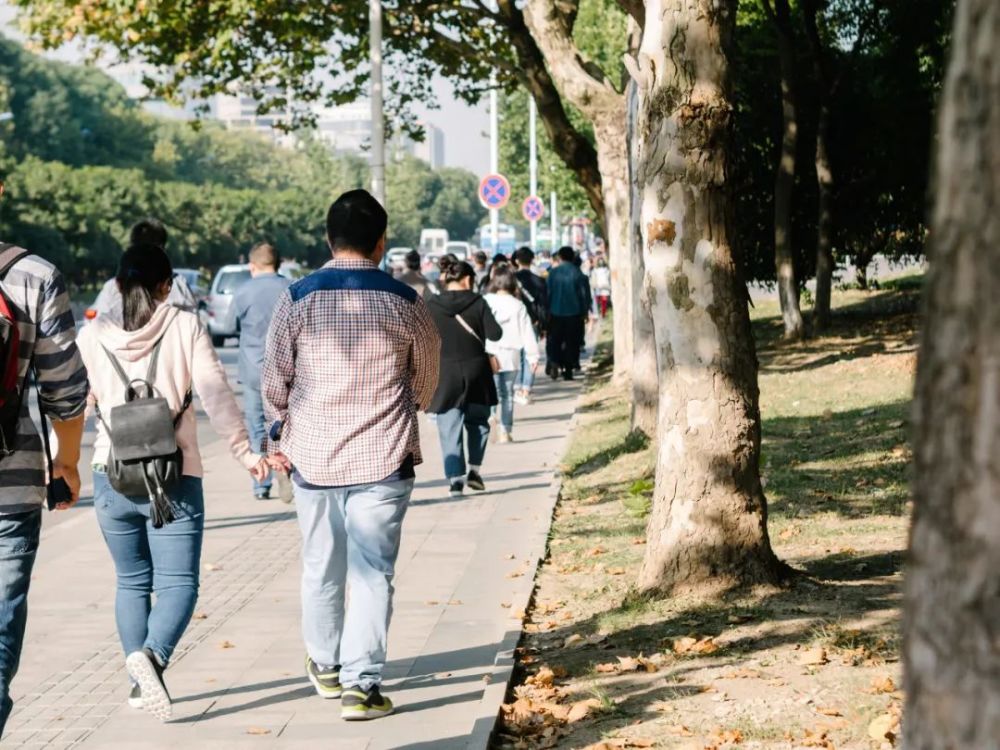 南京油坊桥最新动态揭秘,自然美景探索之旅启程