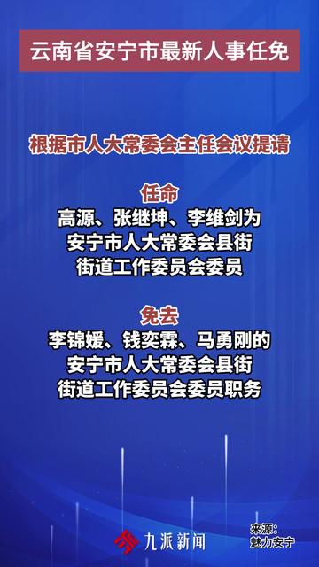 安宁市人事任免信息深度解析，一种观点的视角