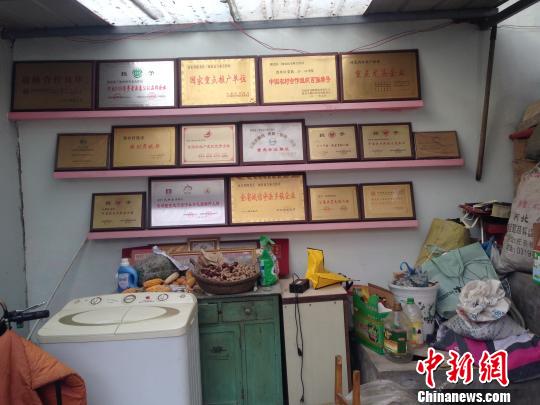 巩群海最新动态，海边快乐时光与友情之旅的温馨之旅