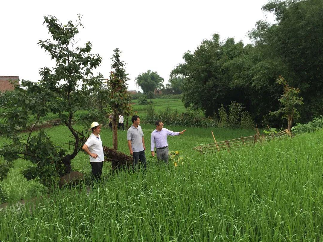 水富最新城市规划公布，未来城市蓝图展望