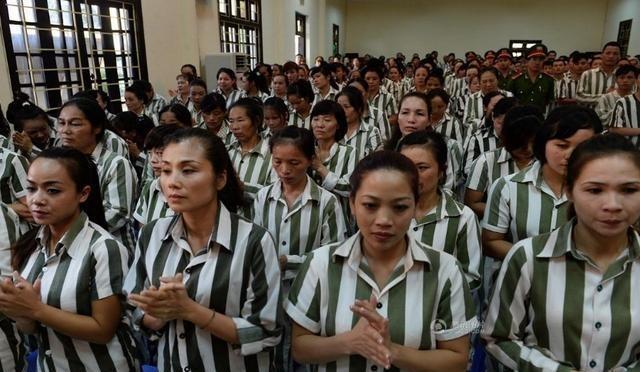 女子监狱故事新篇章，自然美景中的心灵重生之旅