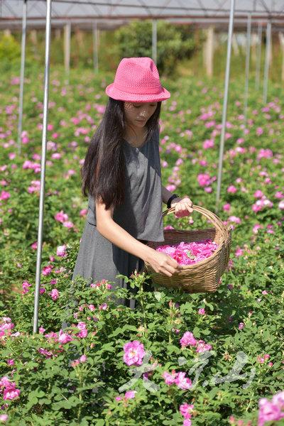 凉山新季声闻，探索新时代声音与发展