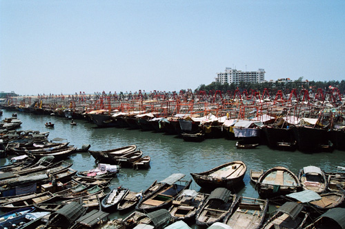 休渔最新闻，温馨的休渔故事时光