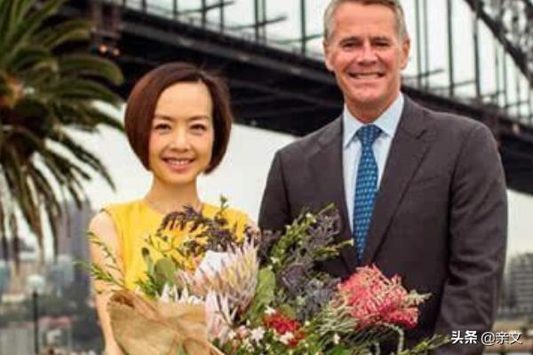 陈鲁豫近况揭秘，如何关注并跟进名人最新动态？