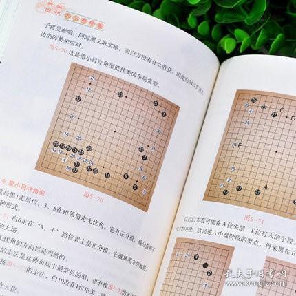 观棋新书解读，洞悉棋局，探寻智慧之奥秘