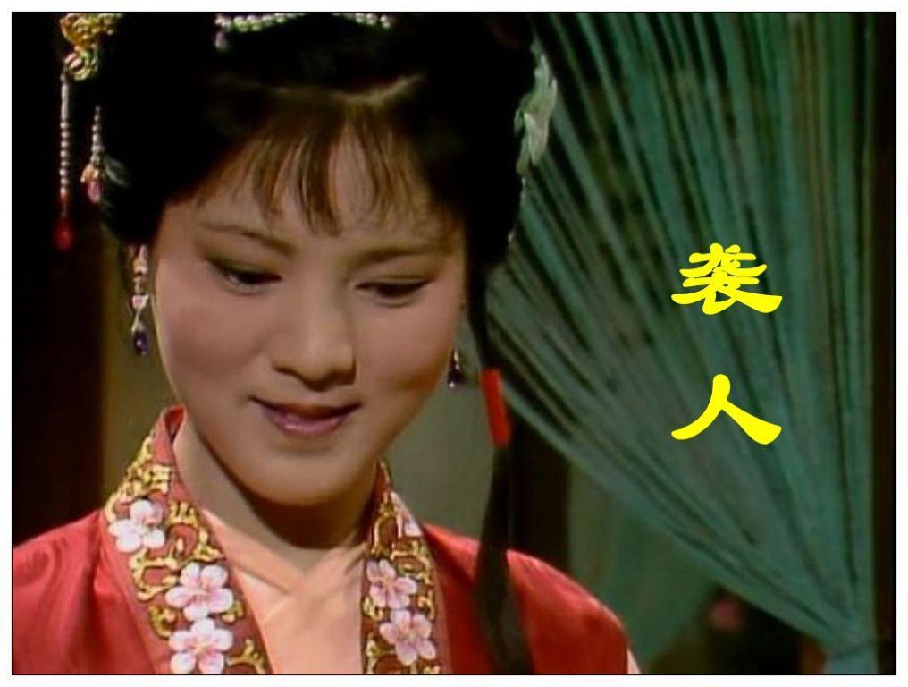 怡红院官方网站，绽放的虚拟世界之花