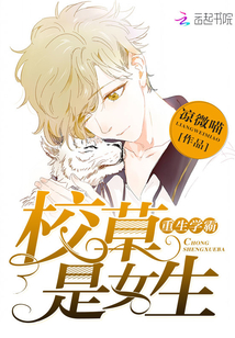 重生学霸女神新篇章揭秘,女神的崛起之路