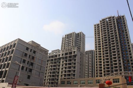 南阳舒心园动态更新及步骤指南