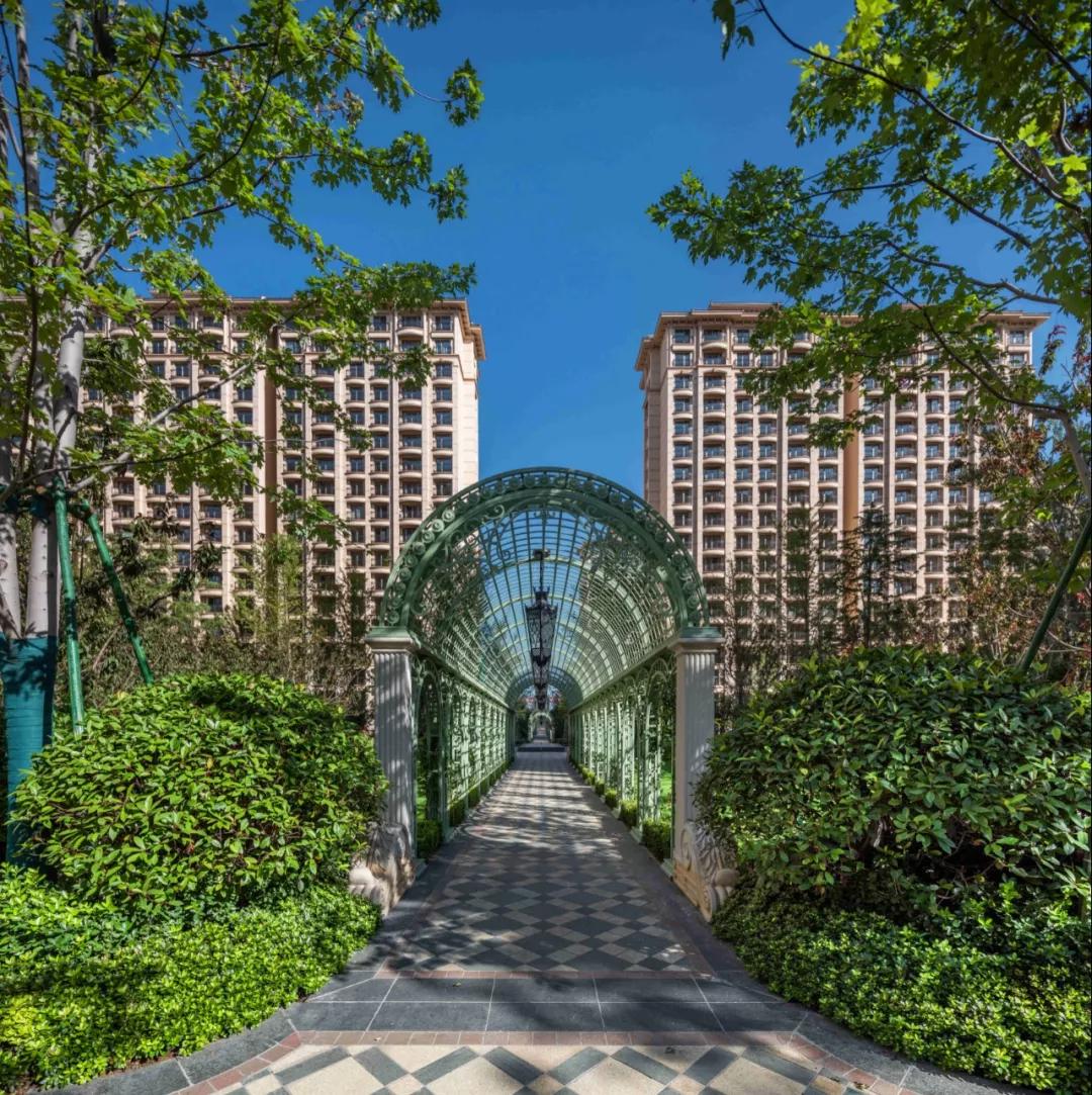 随珠花园最新资讯，阳光下的温馨日常报道