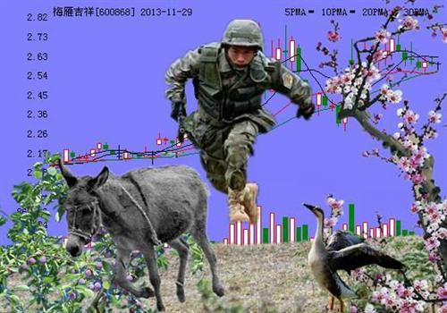 梅雁吉祥最新动态揭秘，时代变迁的见证者