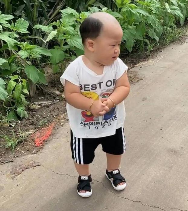 最新宝宝发型推荐，时尚与舒适完美融合