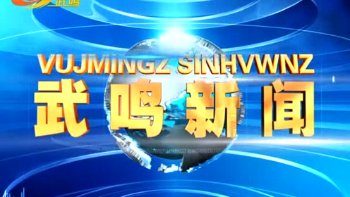 武鸣电视台在线直播，新时代的视听盛宴，不容错过！