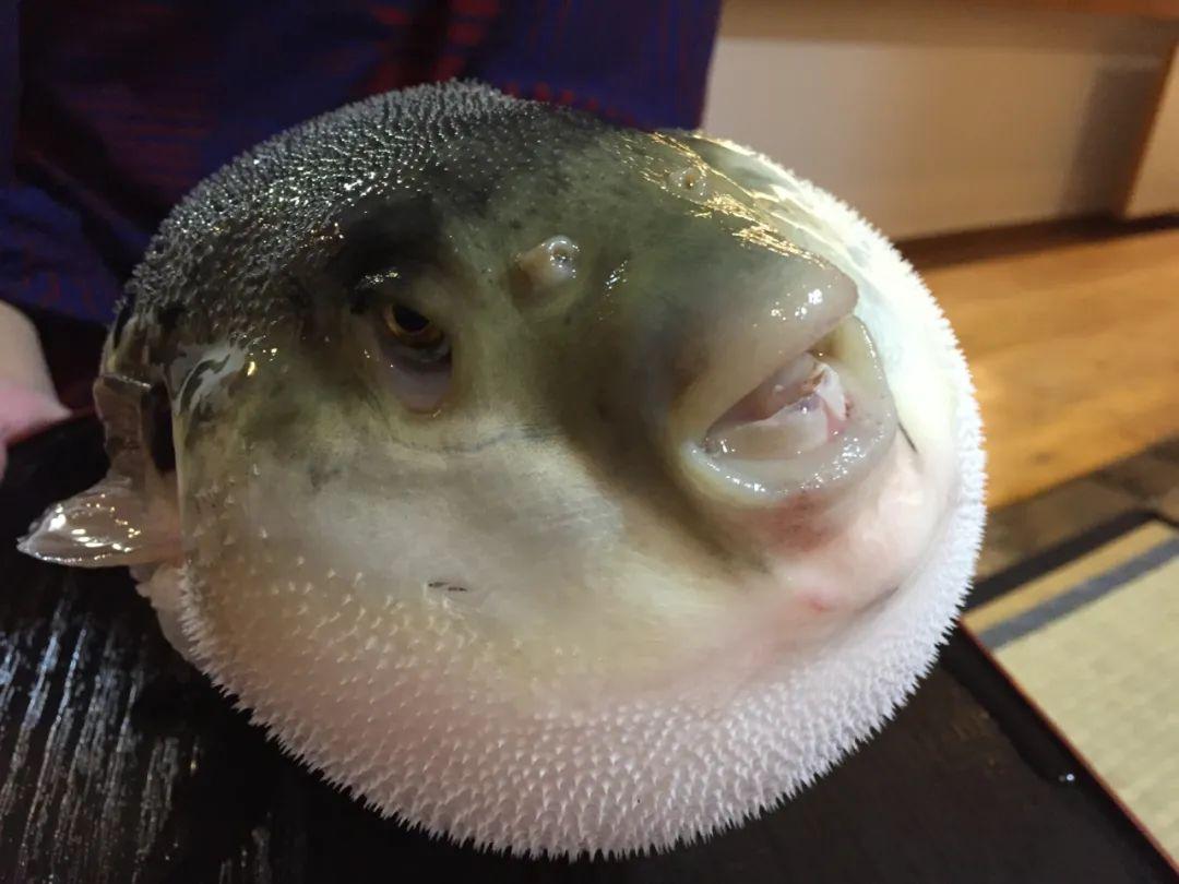 零点云官网使用指南,适合初学者与进阶用户的全面指南