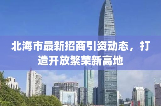 北海市招商引资政策解析，政策下的温馨故事展望