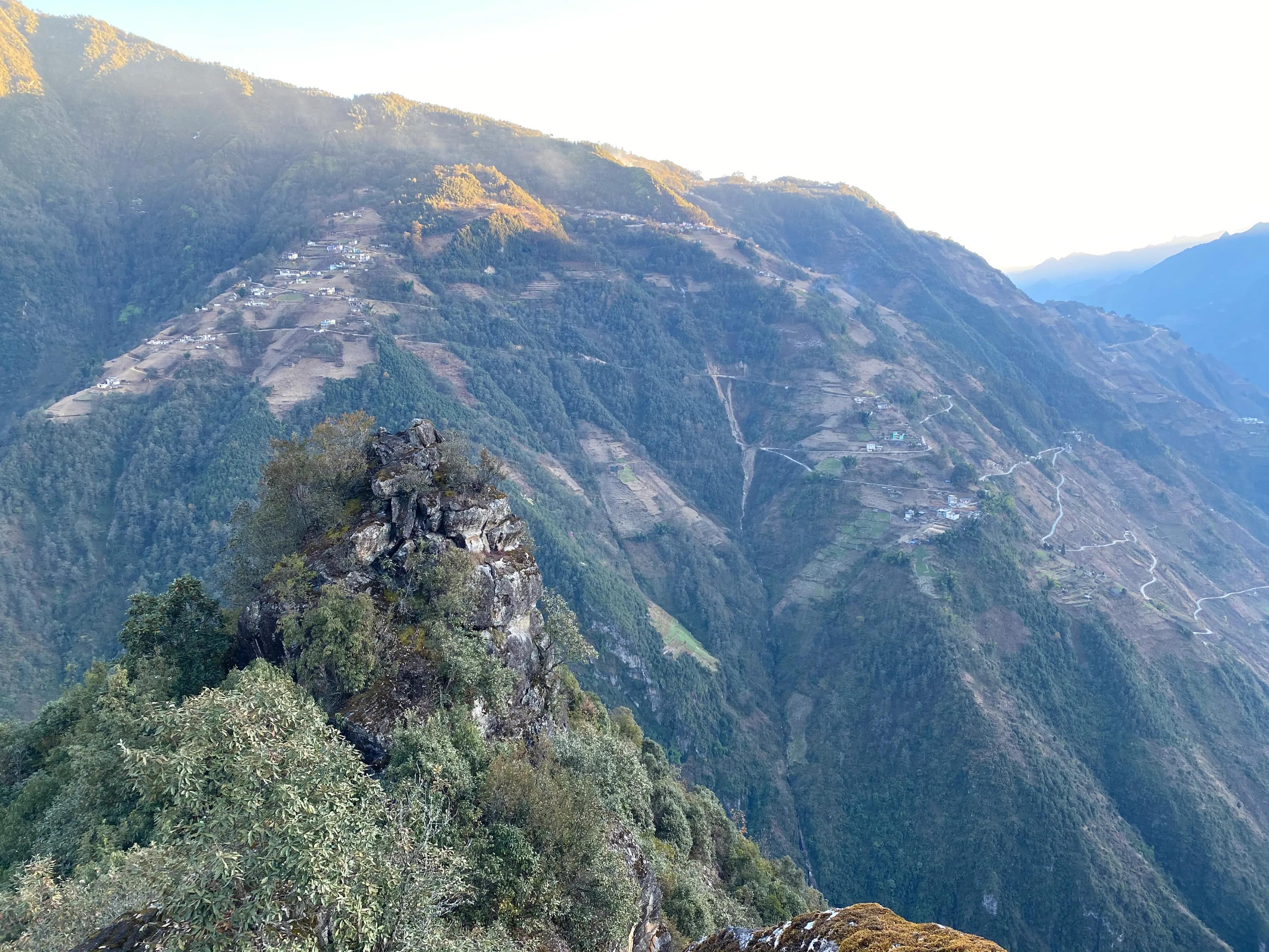 云南神秘水生物最新动态揭秘!??