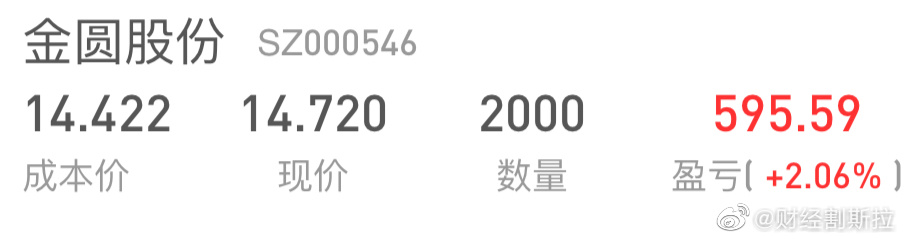 金圆股票，发展背景、重大事件与地位的追溯