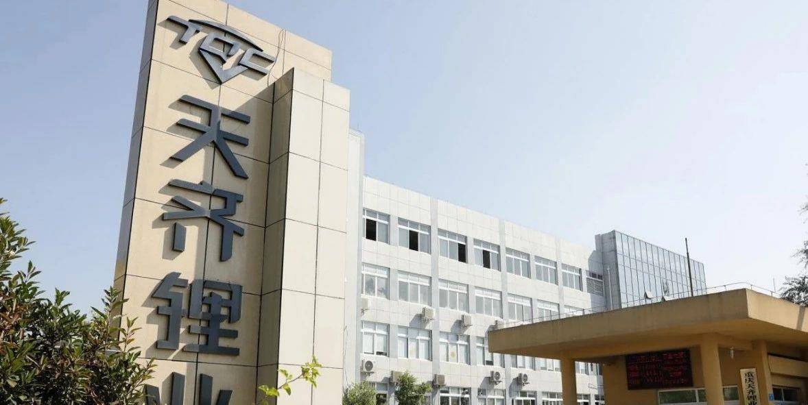 聚焦上市公司发展脉络，探寻行业地位与动态