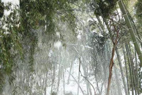 科技重塑传统艺术，最新瓷瓶绑扎教程视频，新时代体验下的瓷瓶绑扎技巧