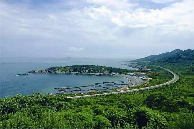 鲁信随珠花园最新房价，时代印记与城市的脉动