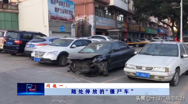 台湾僵尸电影之旅，自然美景下的心灵探险与宁静寻找