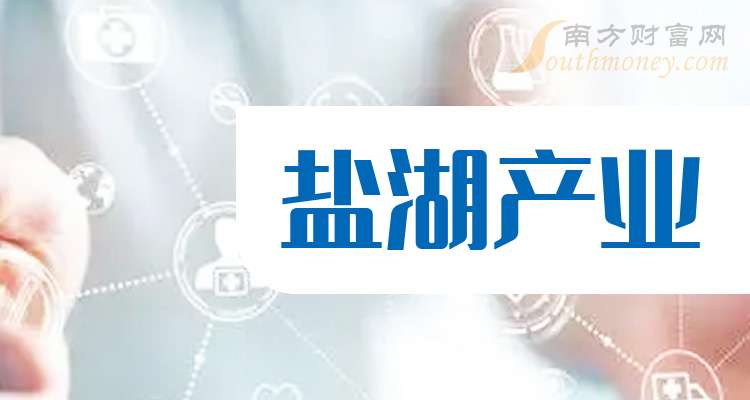 盐湖股份今日股市行情分析，探寻股市中的小美好