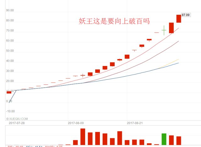 盐湖股份今日股市行情分析,探寻股市中的小美好